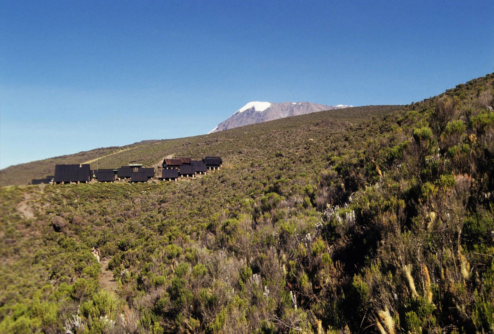 6 days Machame route Kilimanjaro climbing/trekking 2024