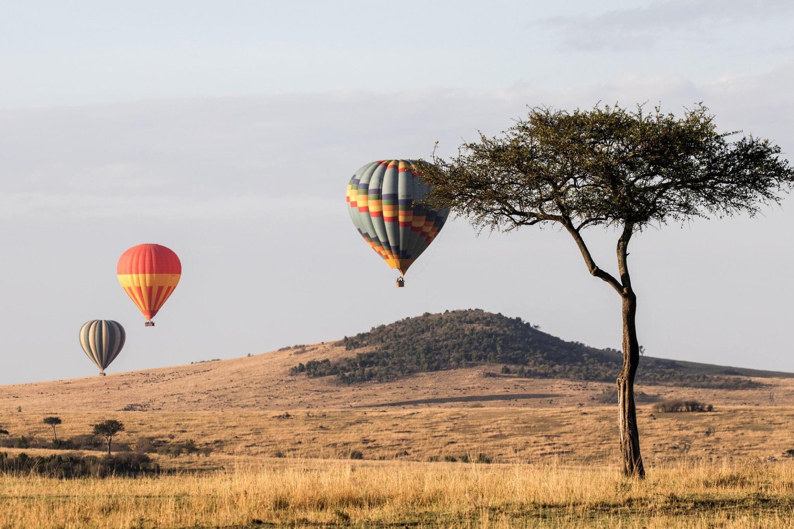 7-day Greatest Serengeti Balloon Safari in Tanzania.