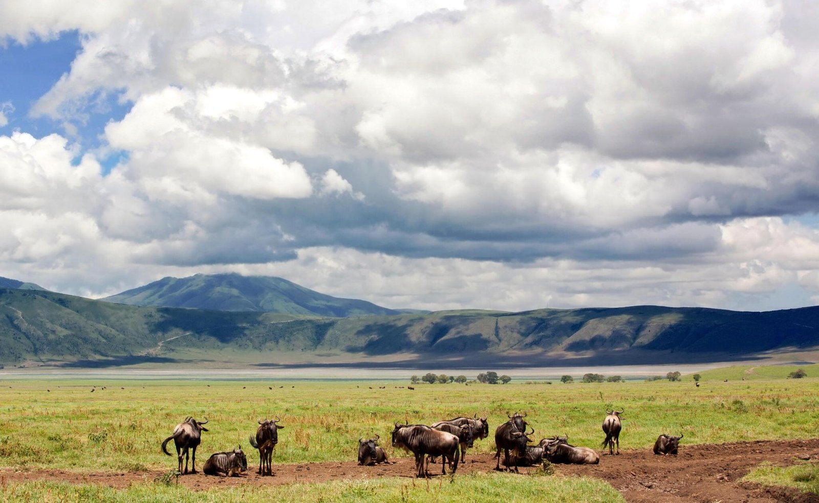 7-day Greatest Serengeti Balloon Safari in Tanzania.